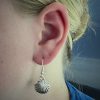 The Sea Shells