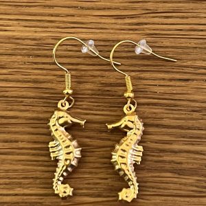 The little seahorse